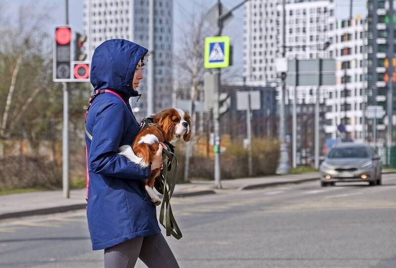 Любимый друг фото превью