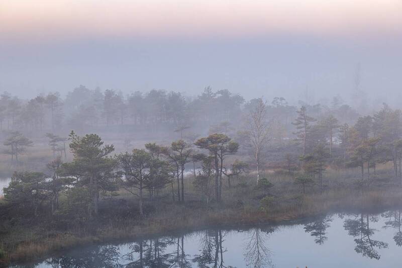 Туманное утро фото превью