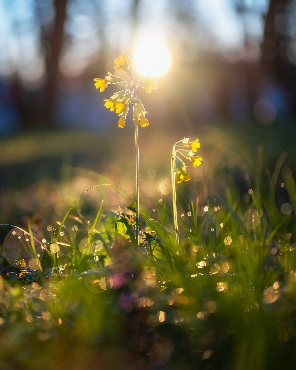 , Шевченко Юрий
