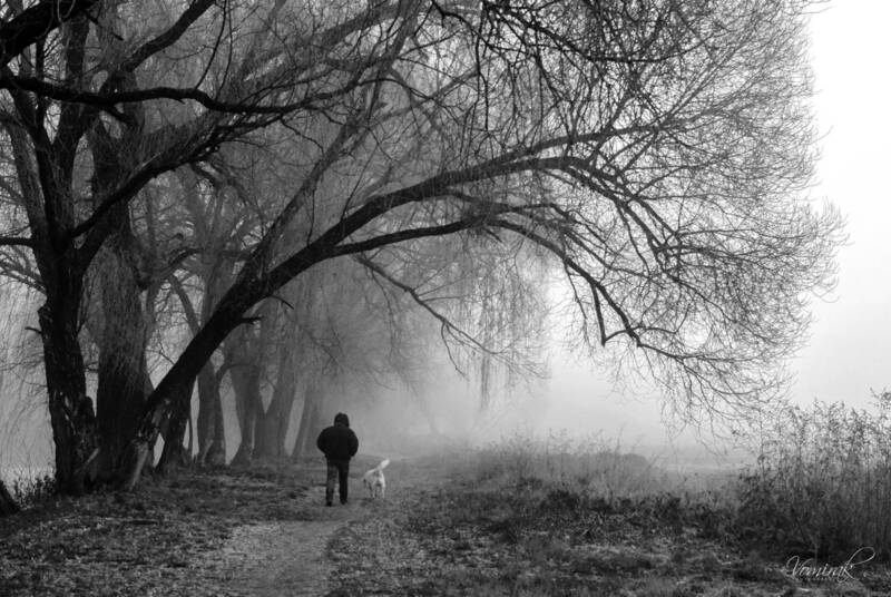 Утренняя прогулка фото превью