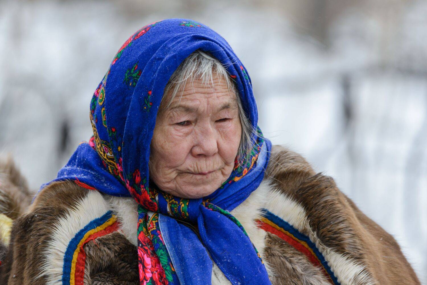 ненцы, ненка, бабушка, живем на севере, надым, день оленевода, ямал, Сторожев Олег