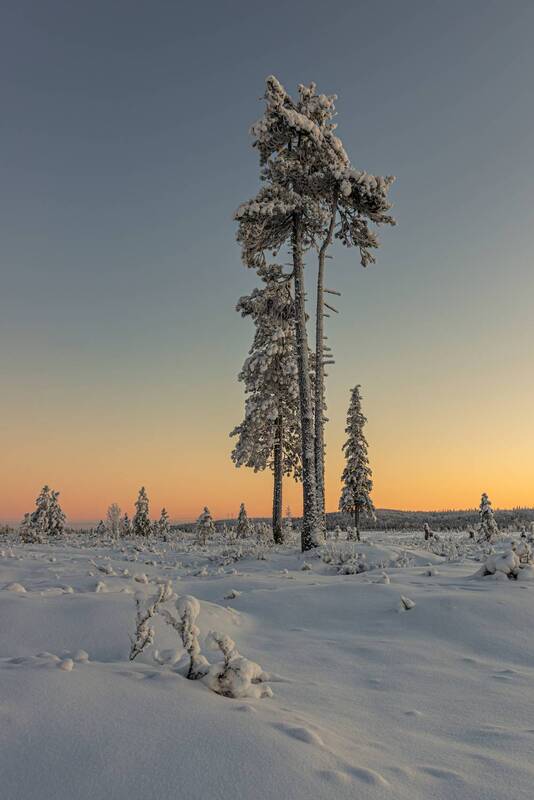 Мороз фото превью