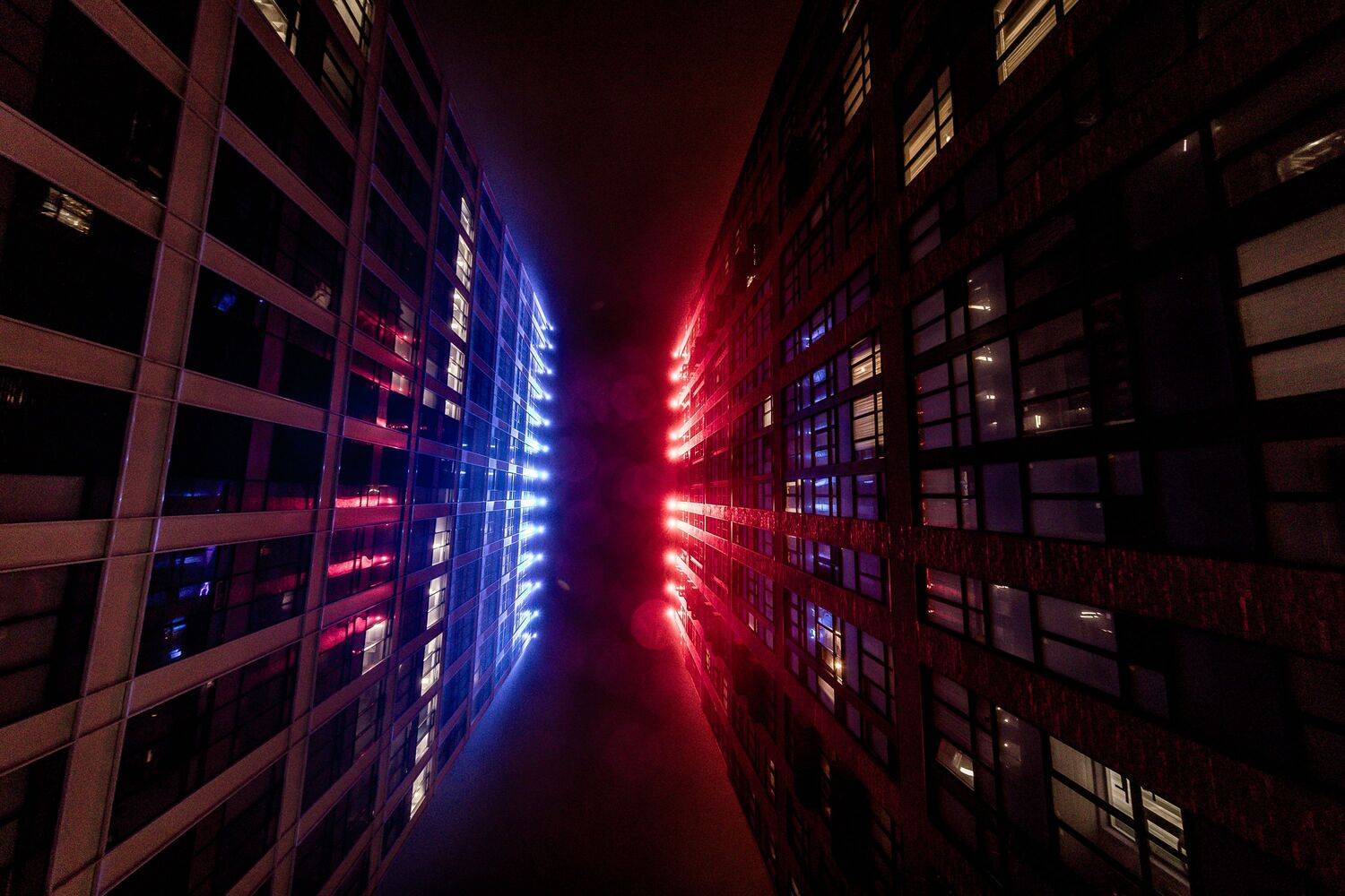 , Трепольский Дмитрий