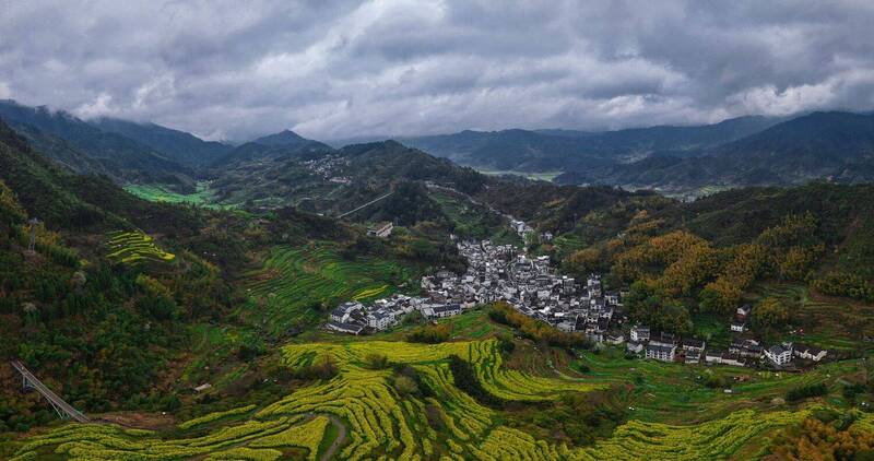 Рапсовые террасы фото превью