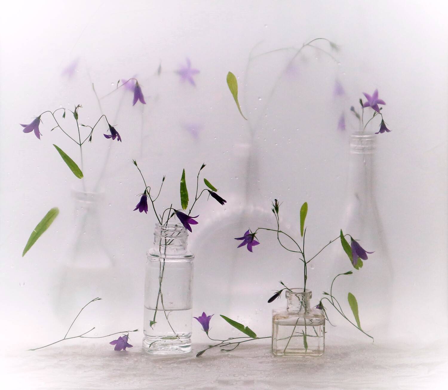 , Людмила Хрусталева*