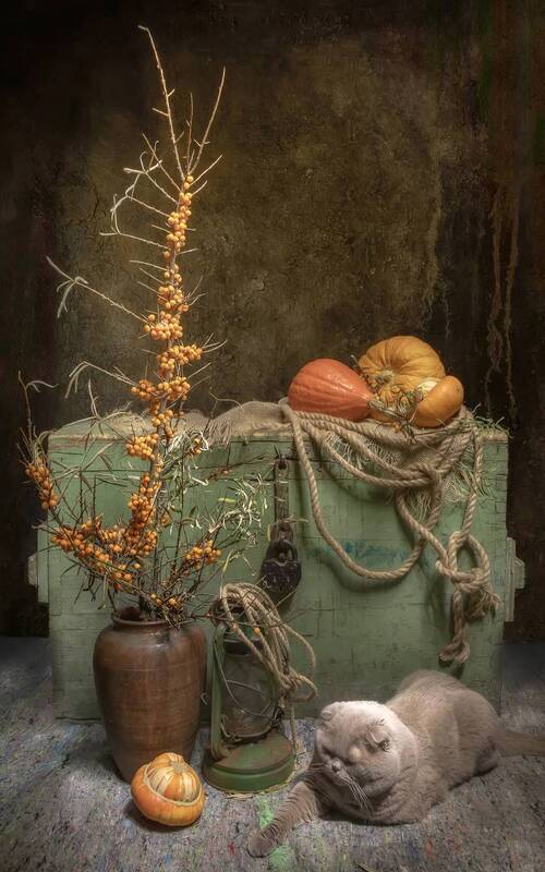 сундук, облепиха, тыквы, керосинка, кот Старый сундук... фото превью