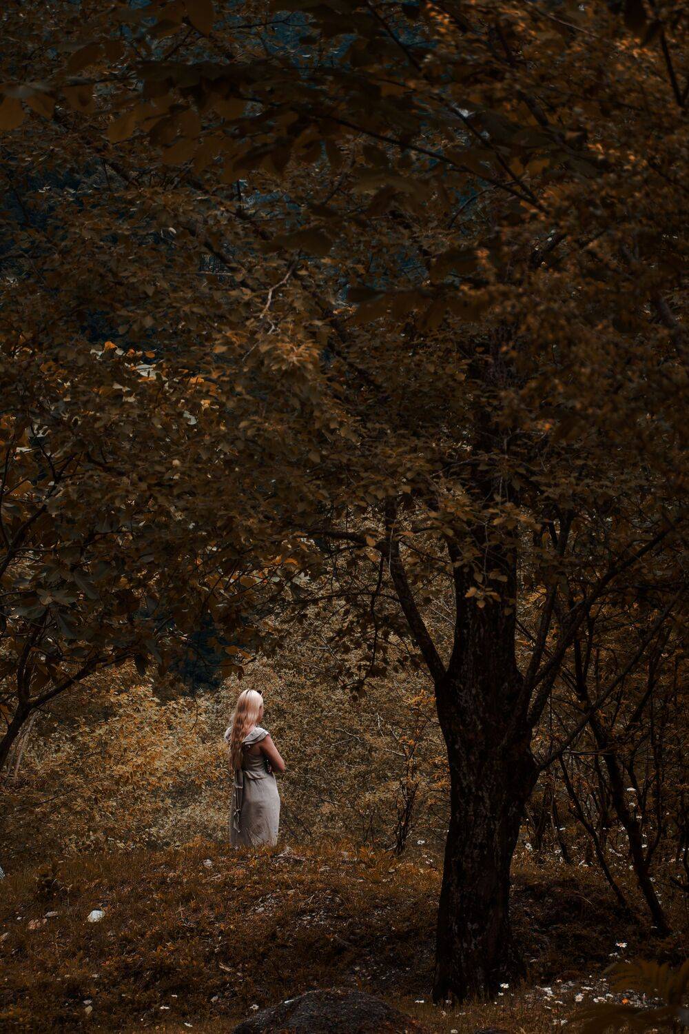 , Какоткин Роман