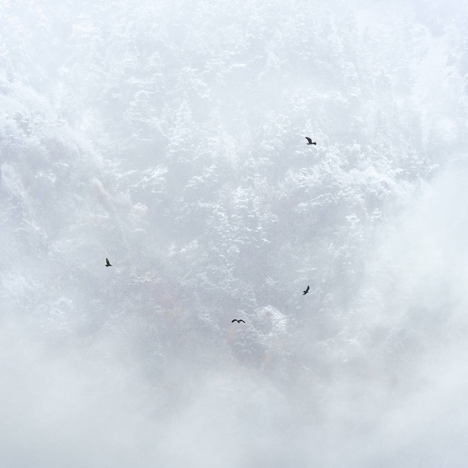 снег, осень, горы, кавказ, Растворов Игорь