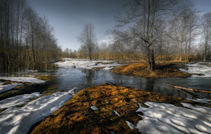весна, рассвет, пейзажи России, фото России, природа России, Нижегородская область Утро на Пасху.. фото превью