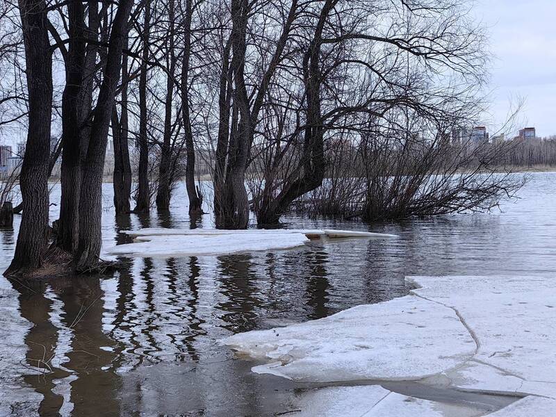 Льдины и отражение фото превью