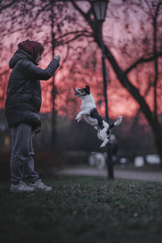 На закате фото превью