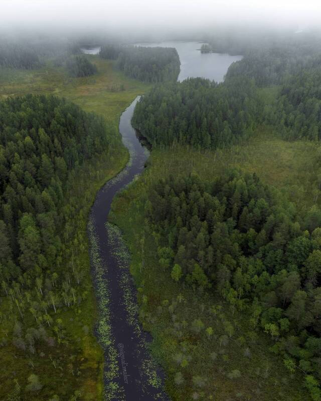кенозеро, кенозерье, кенозерский национальный парк, вид сверху, архангельская область, аэросъемка Кенозерский национальный парк фото превью
