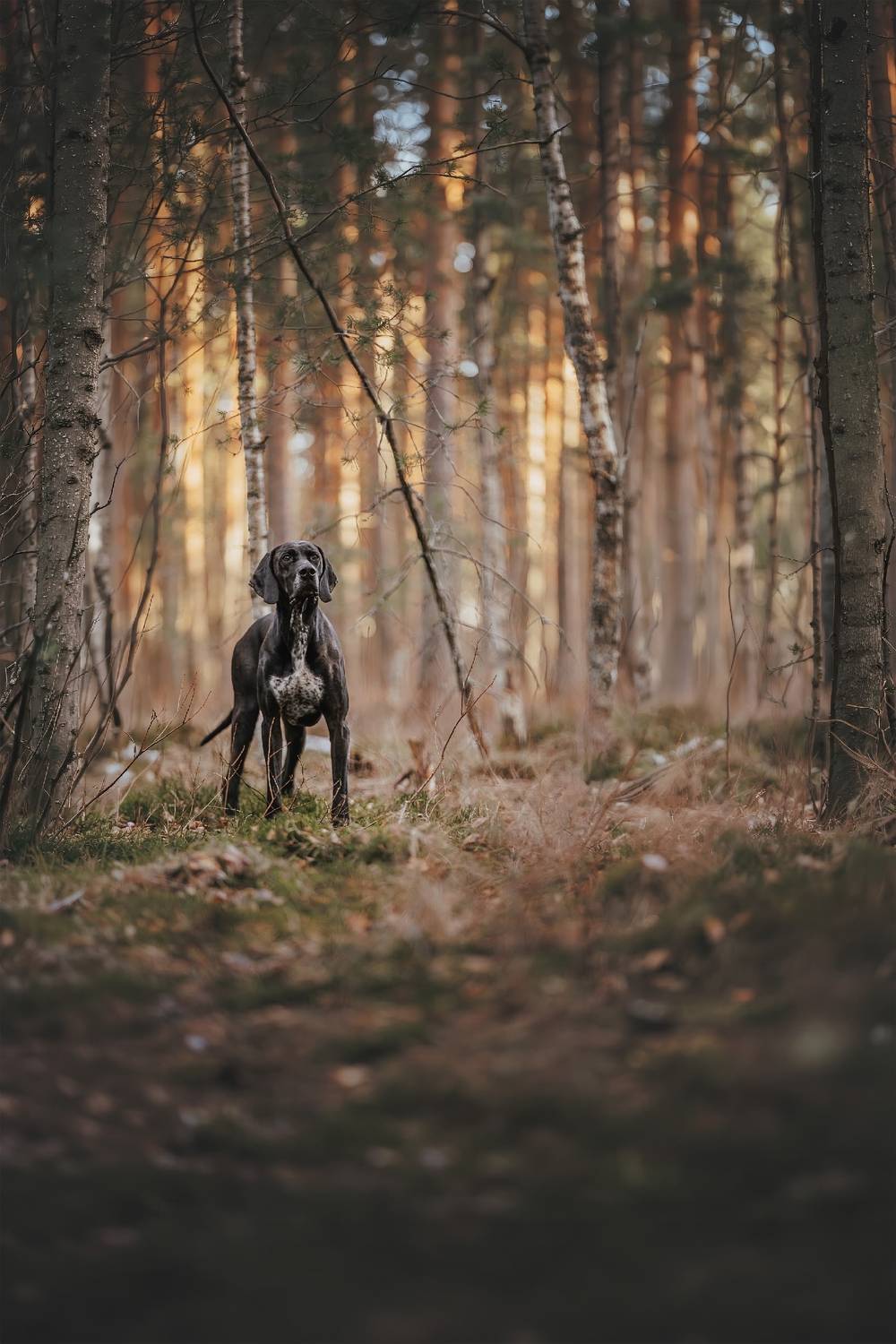 , Беспалова Полина
