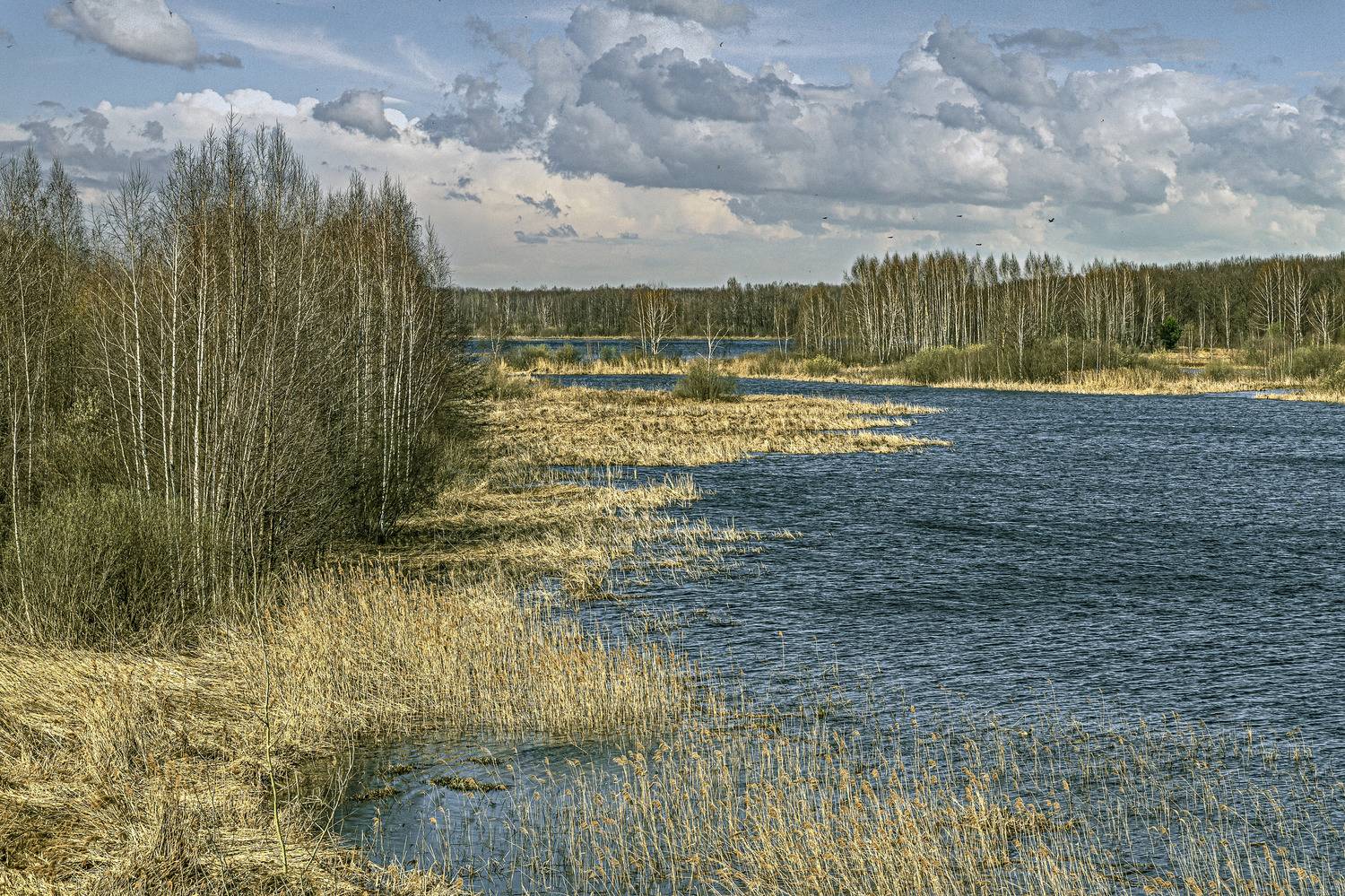 , Шитов Александр