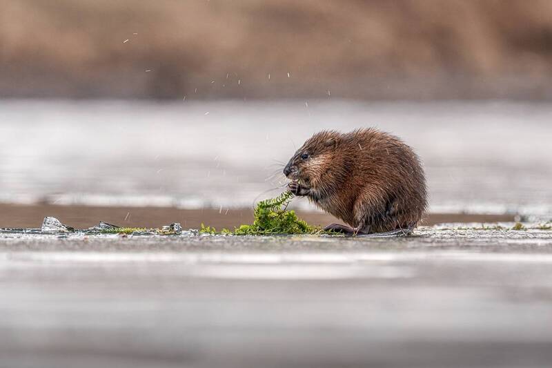 Завтрак фото превью