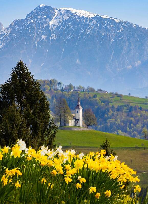 словения, церковь, святой томаж, европа, альпы, альпийская церковь, slovenia, alps, ulian alps, st tomaz Альпийская церковь фото превью