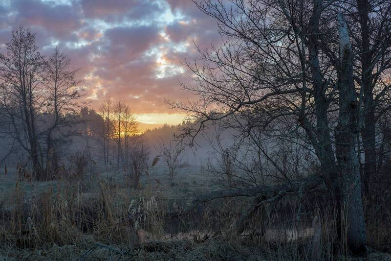 *** фото превью