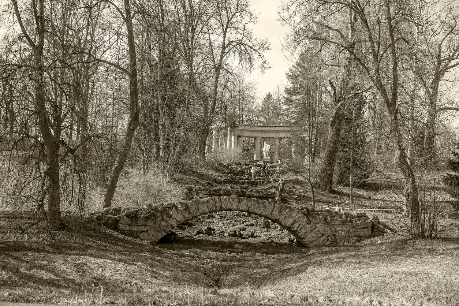 , Андрей Киселев