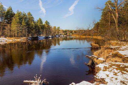 Середина марта