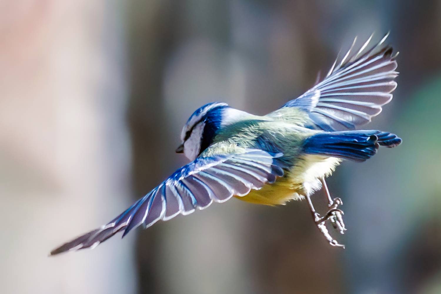 , Алексей Волков