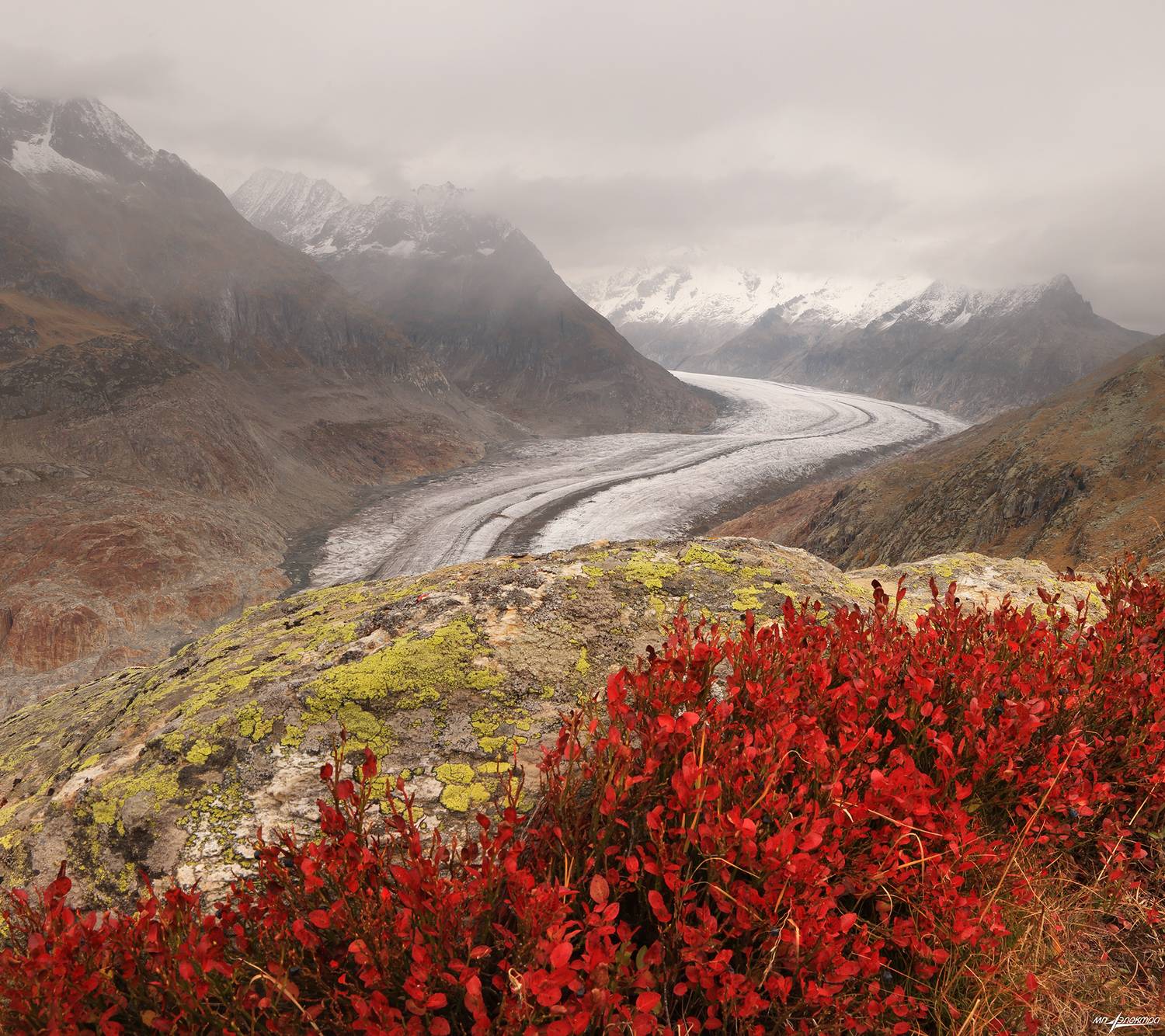 swiss, Матвеев Николай