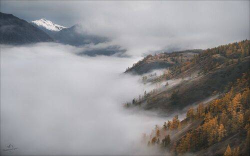 Параллельные миры