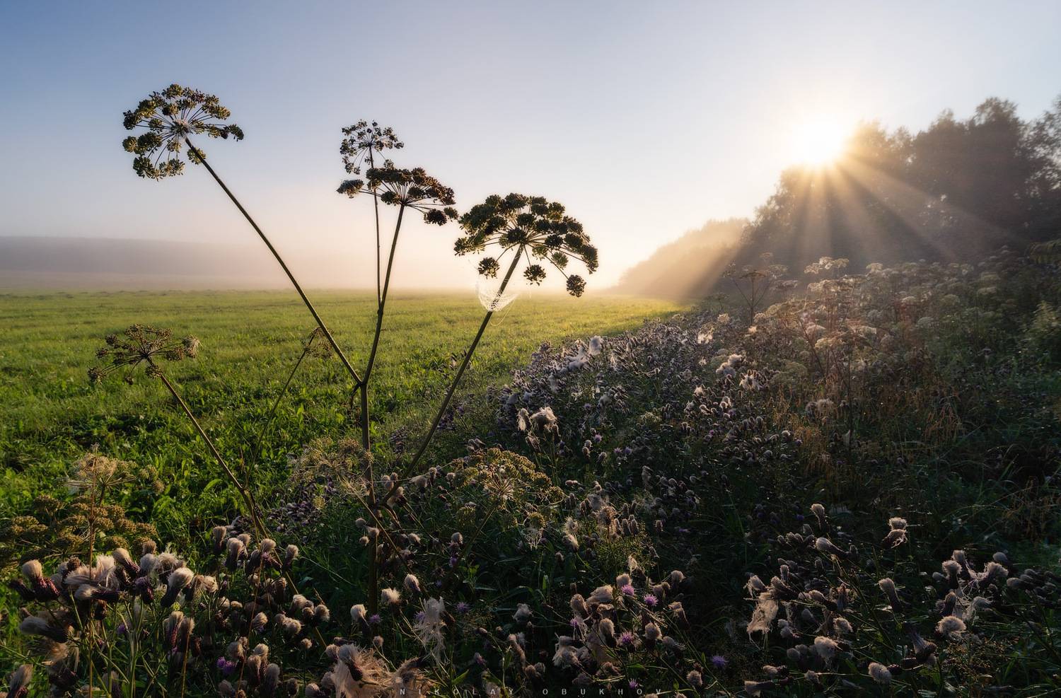 , Обухов Николай