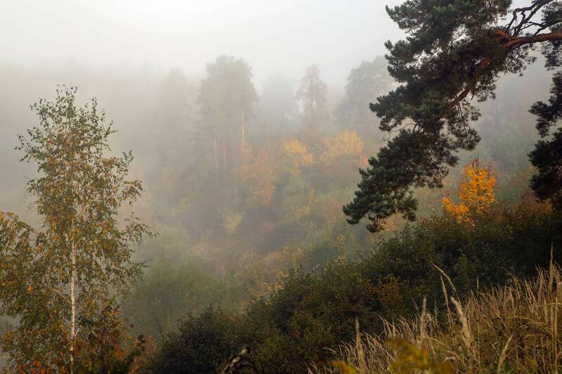 Осенний туман фото превью
