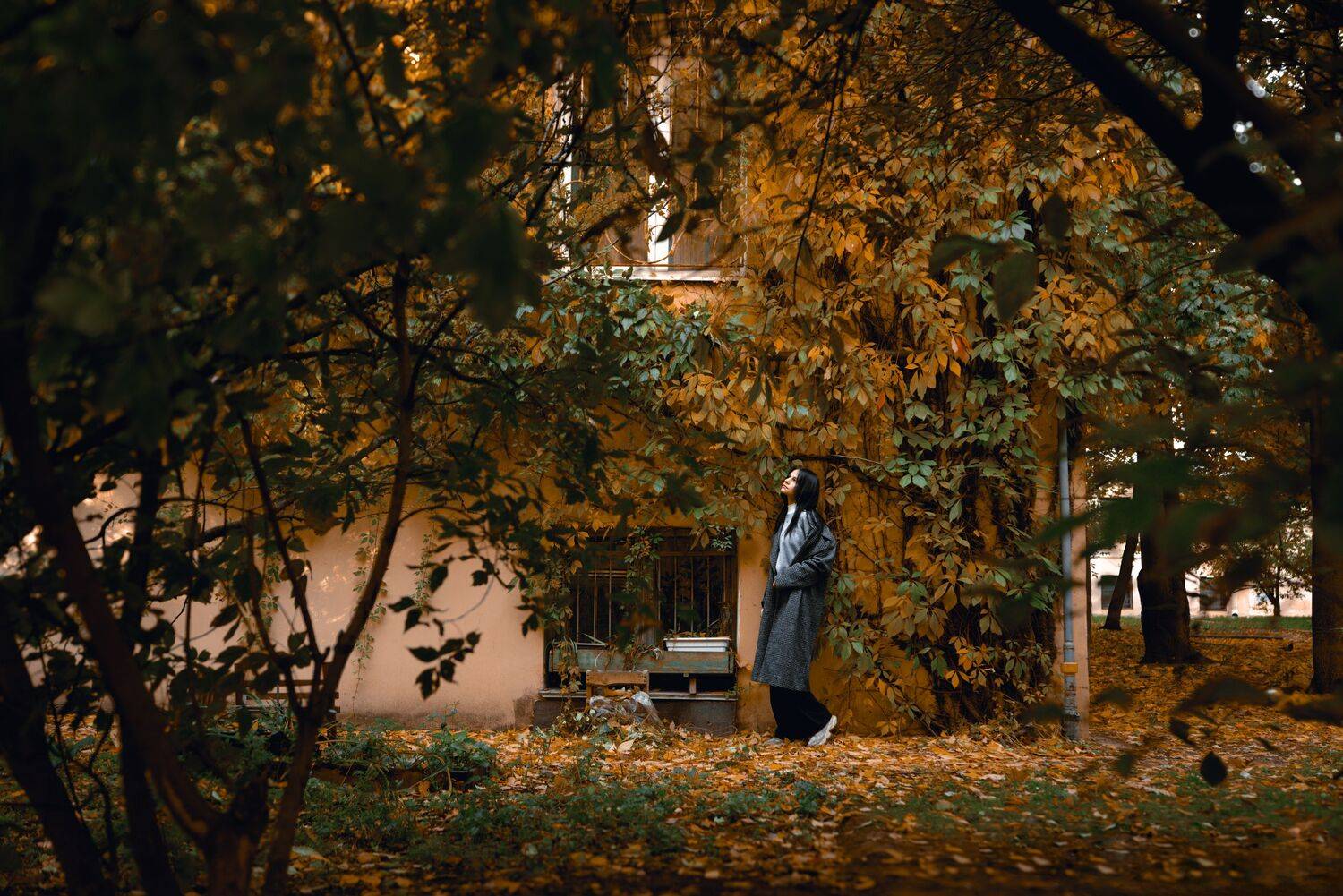 , A.Strelkovv
