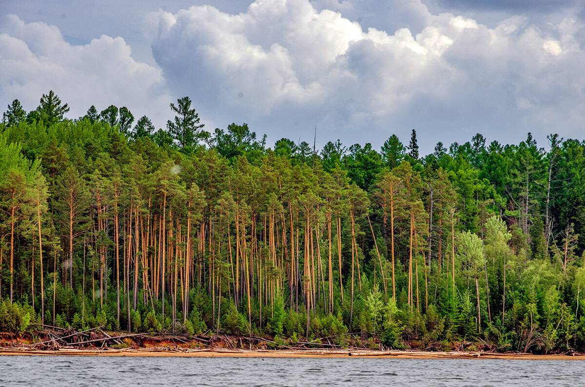 , Капустин Игорь