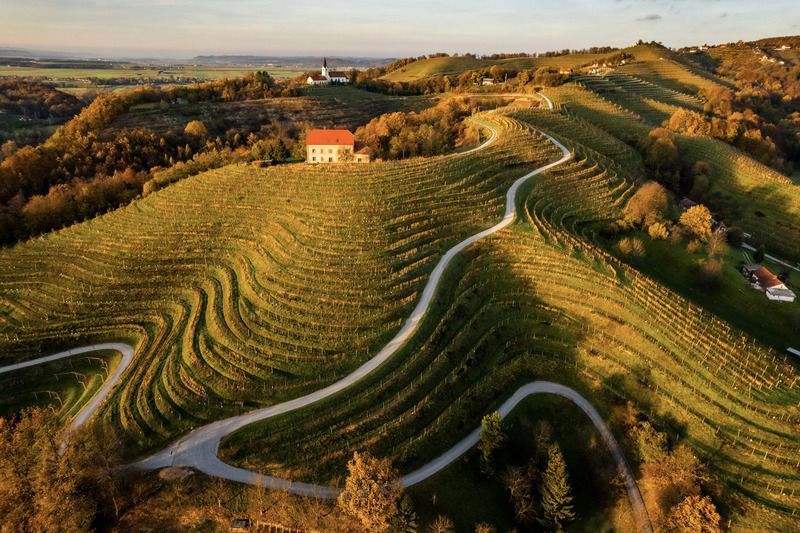 Lines фото превью