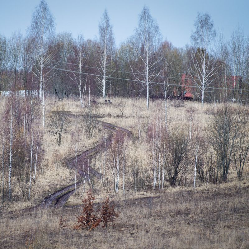 тула, геометрия О квадратно-линейно-волновой геометрии весенних склонов фото превью