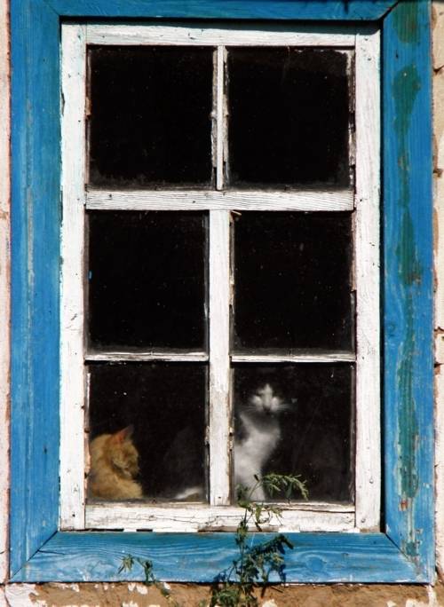 , Савоцкий Роман