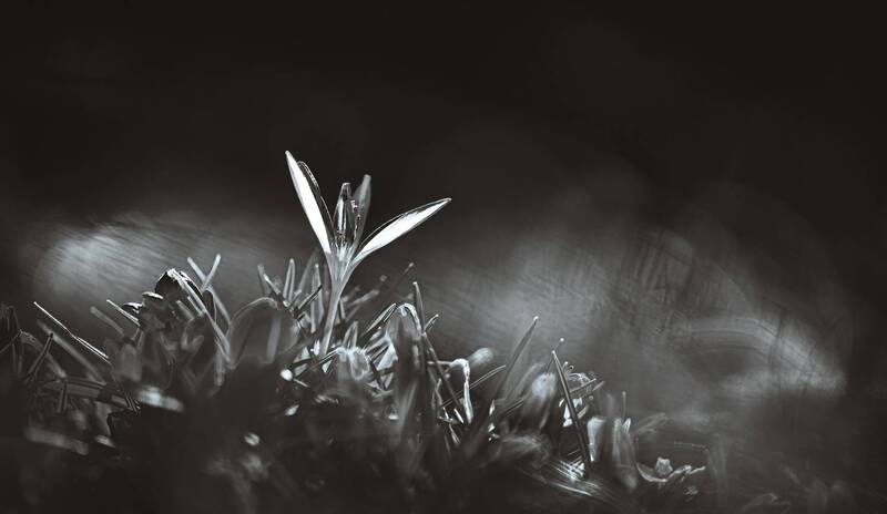 Виктория! фото превью