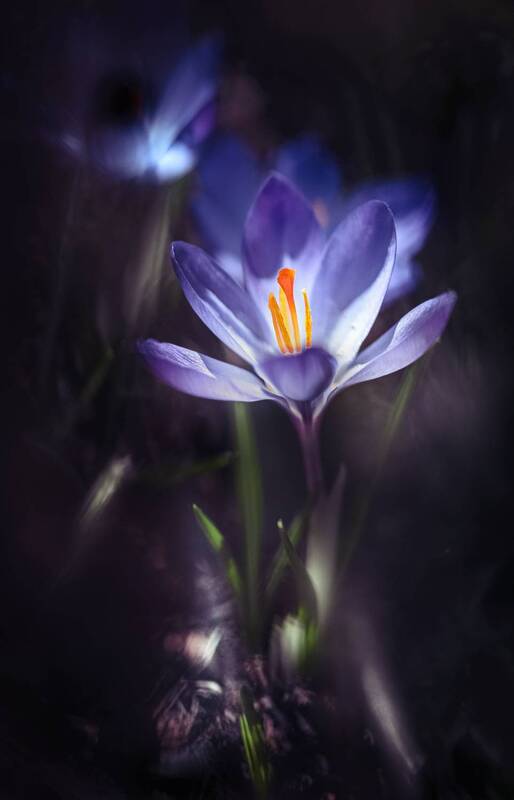 Сказка на ночь фото превью