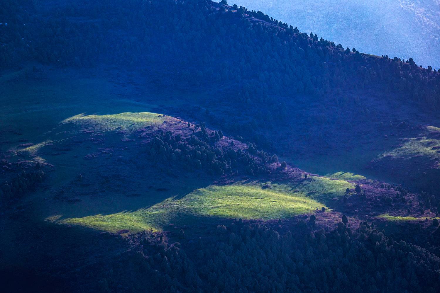 кыргызстан, Элина Магалимова