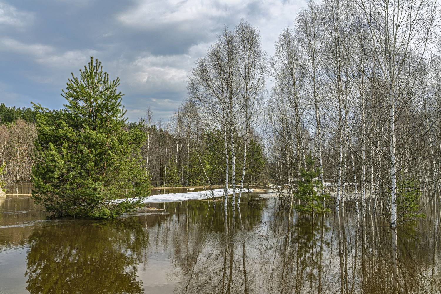 , Шитов Александр