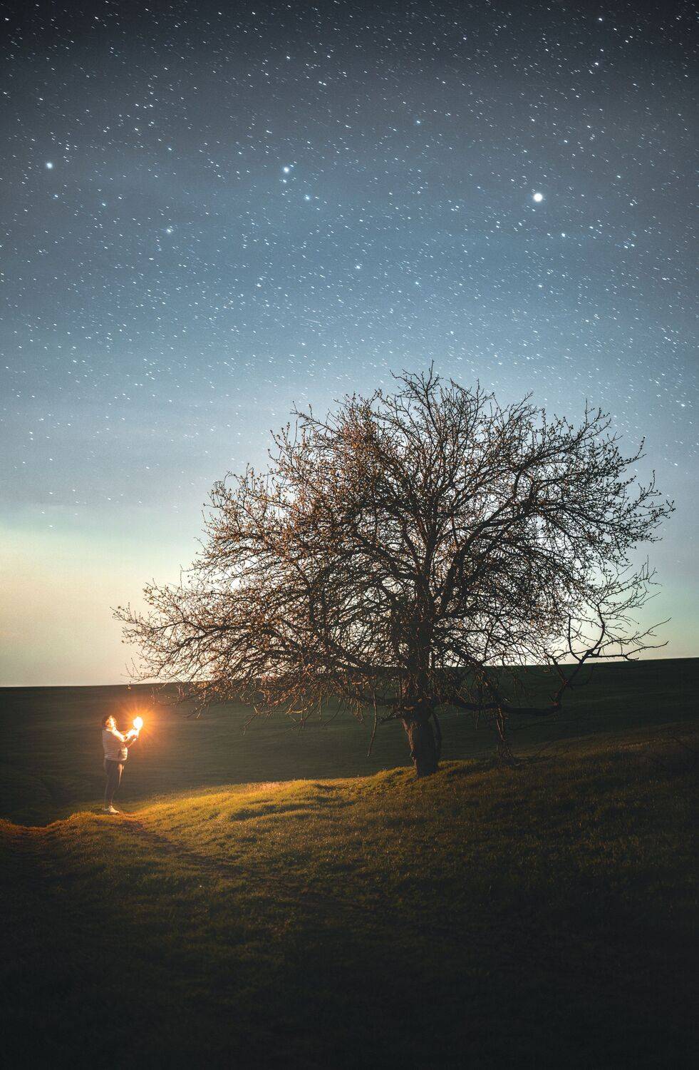 ночь, пейзаж, астрофотография, длинная выдержка, световая кисть, контраст, детализация, безлюдно, природа, небо, звезды, профессиональная фотография, Nikon Z, высокое разрешение, художественный свет., Олег Сухенко