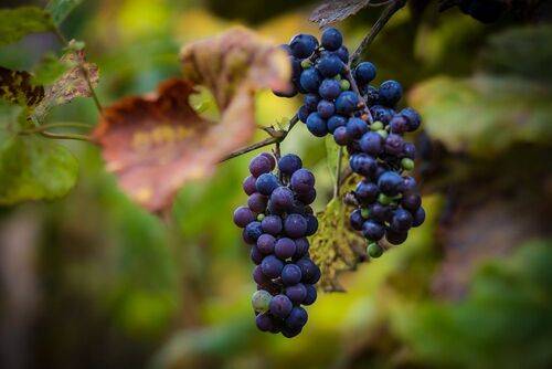 Картинки осени