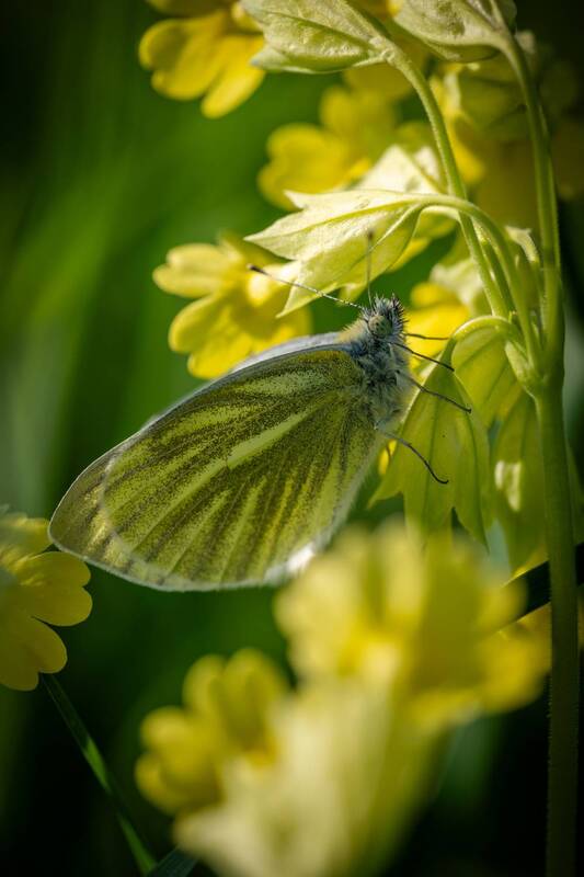 Супер маскировка фото превью
