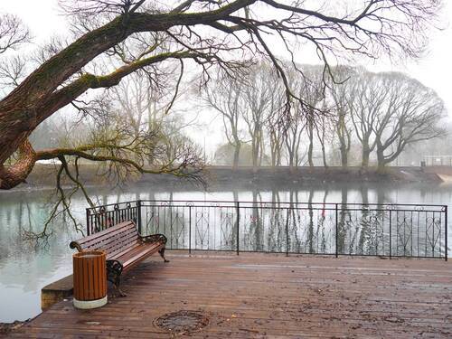 Туманное весеннее.