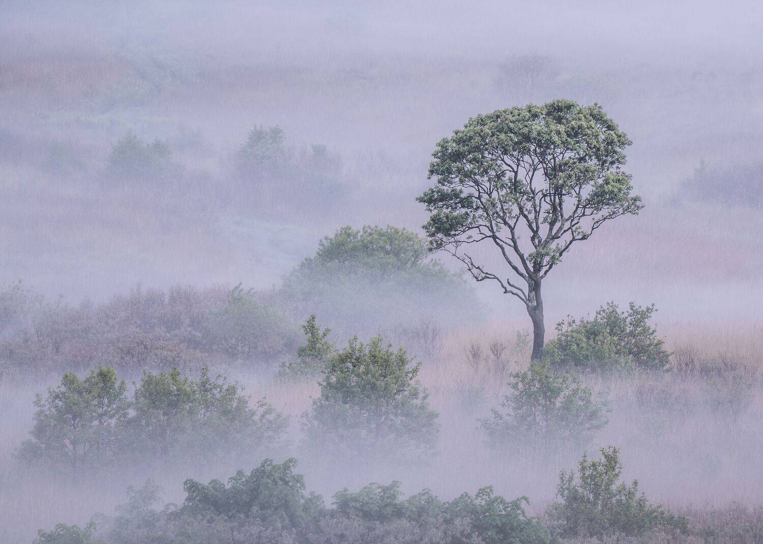, Дарья Карамышева