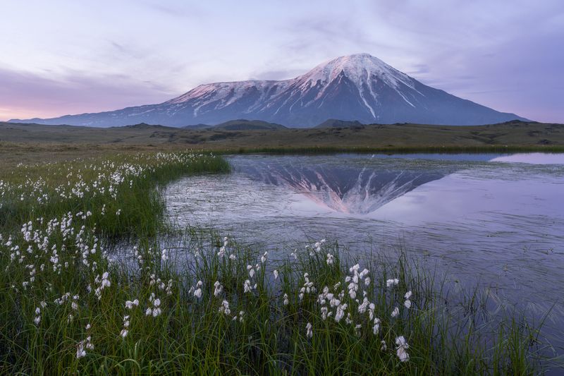 Сиреневый рассвет фото превью