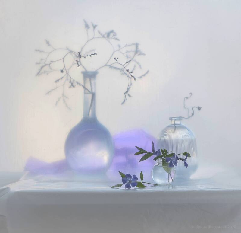 Барвинок фото превью