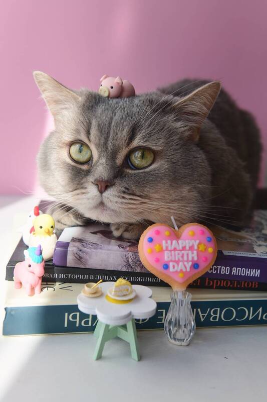 9 годиков фото превью