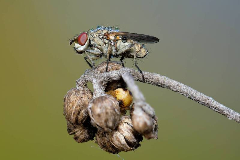 Соседи фото превью