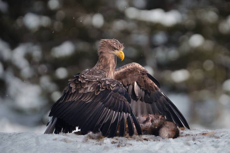 Моё! фото превью