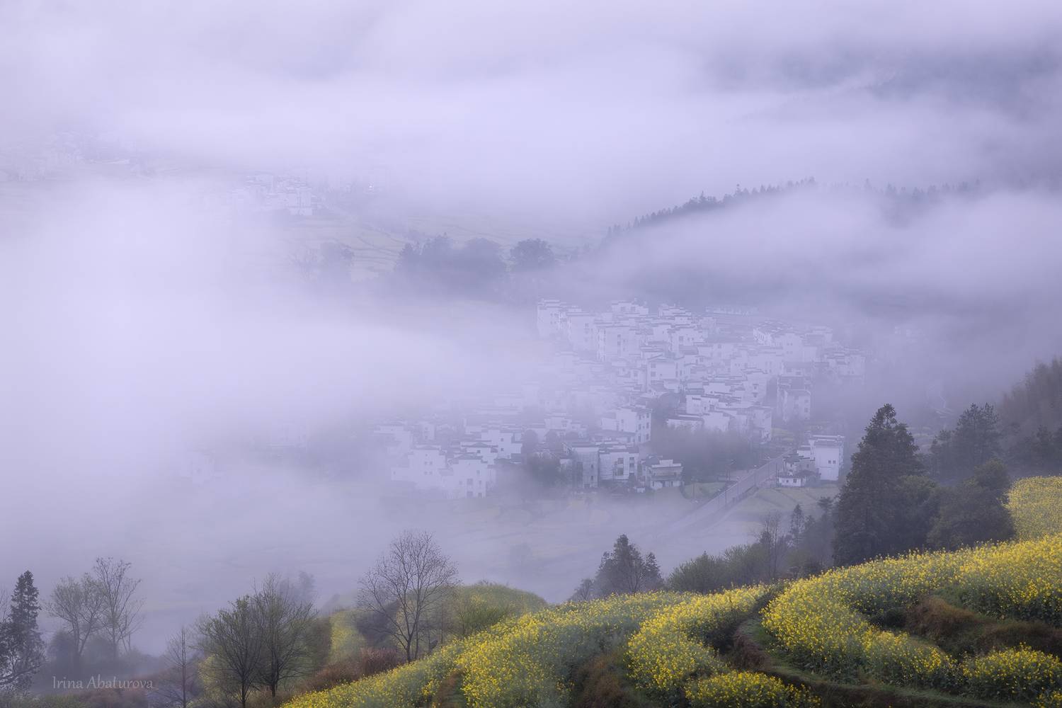 Китай, Рапс, Террасы, Туман, Деревня, Ирина Абатурова