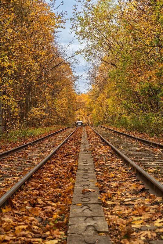 Россия, Москва, трамвай, осень Московский трамвай фото превью