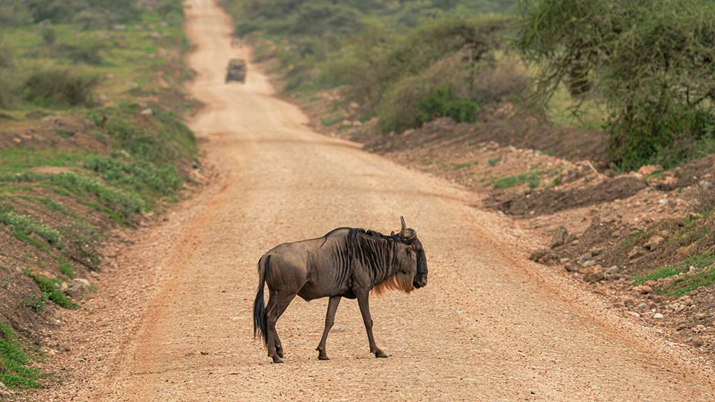 , Антипов Игорь
